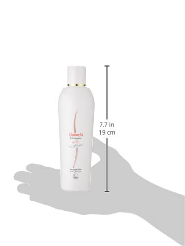DXN Ganozhi Shampoo Ganoderma 250ml (1 Bottle)