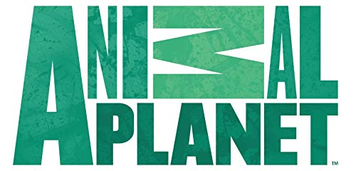 Animal Planet 2 Count Strap Covers, Puppy