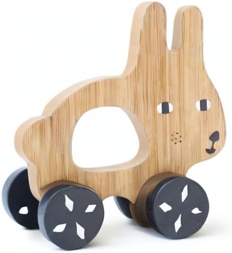Wee Gallery Bunny Push Toy, Rolling Toy, Classic Motion Toys for Child Motor Skills, Balance, Roll Along Play, and Animal Nursery Decor (Baby, Toddler, Kids)