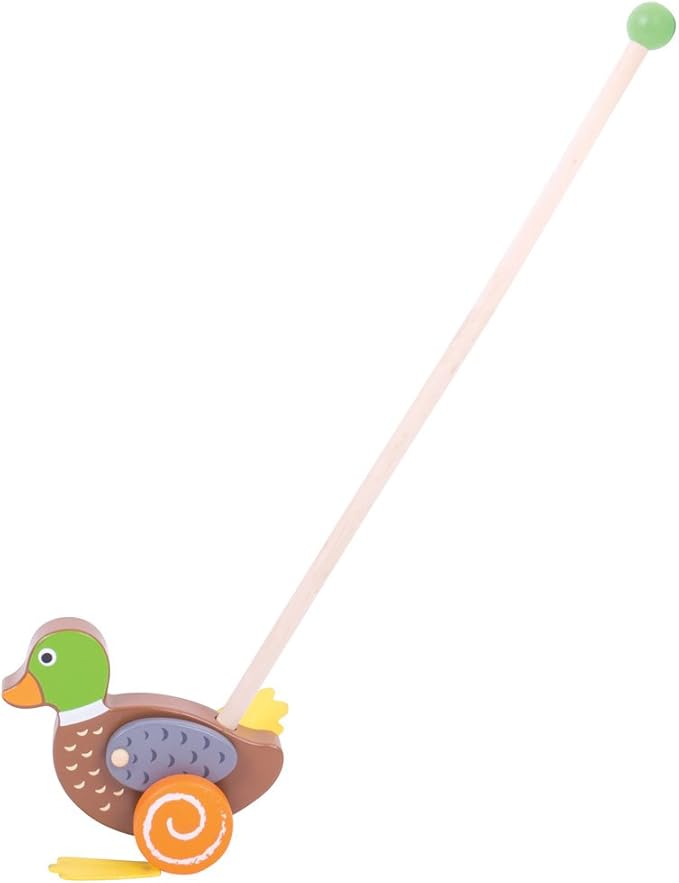 Bigjigs Toys N/A Push & Pull Toys