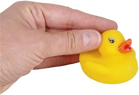 2 Inch Baby Rubber Ducks (12 Piece)