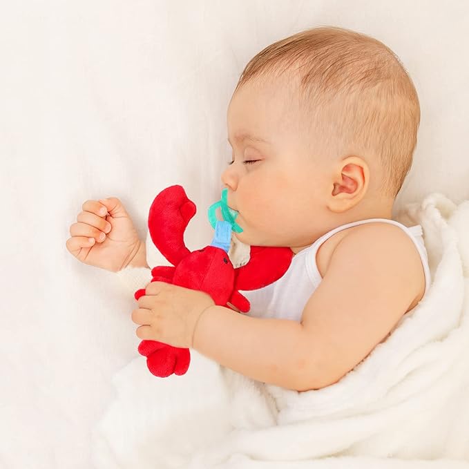 NiBaby Pacifier with Infant Plush Pacifier Holder, BPA Free Silicone Teether Soothie Snuggle Pacifier with Detachable Soft Hand-Hold Stuffed Animal for 0+ Months Newborn Baby All Ages (Lobster)
