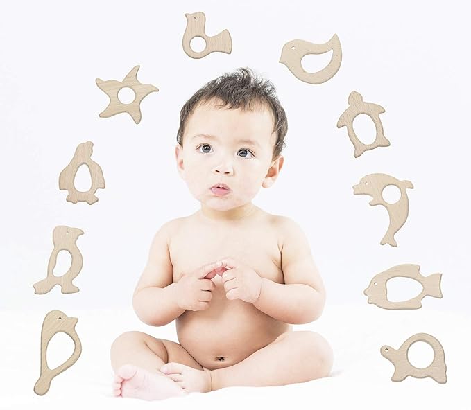 Penta Angel 10Pcs Wood Teething Rings Pain Relief Natural Wood Teething Toys Wooden Teether Animals for Infant Toddler, Turtles Swallows Dolphins Starfish Pigeons Birds Woodpeckers Fish Turtle