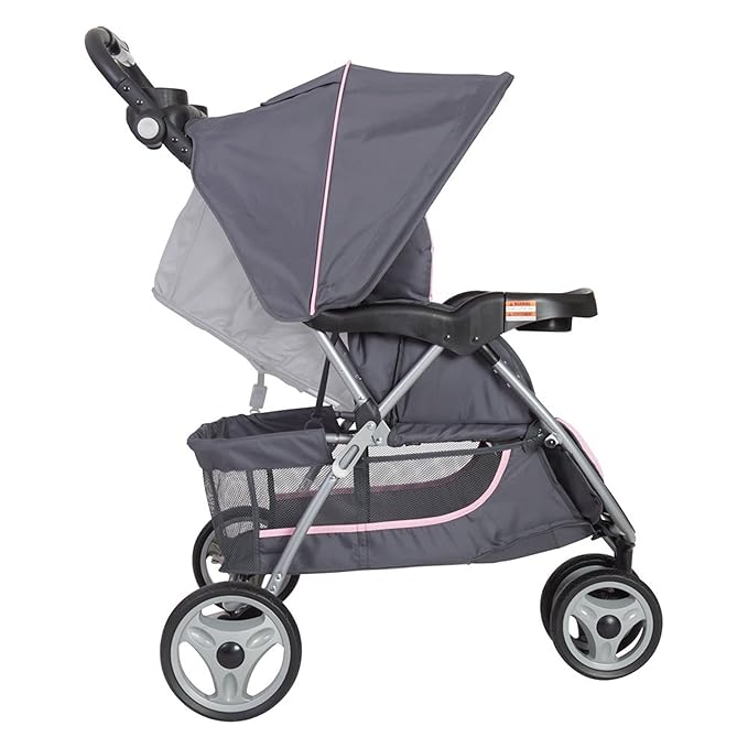 Baby Trend Skyview Stroller Travel System with EZ Flex-Loc Infant Car Seat, Flora