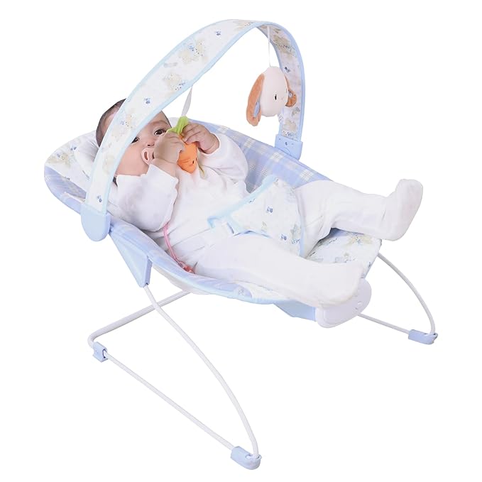 Baby Bouncer, Infants Bouncy Seat with Music and Vibrations,Portable Baby Rocker for Newborns Indoor Outdoor Use 0-6 Months Up to 20 lbs
