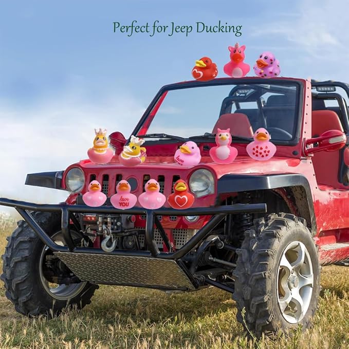 12 Pcs Assorted Rubber Ducks Pink Heart Ducks,Small Rubber Ducks in Bulk Baby Shower Bath Toy for for Jeep Ducking Birthday Party Favors Classroom Incentives