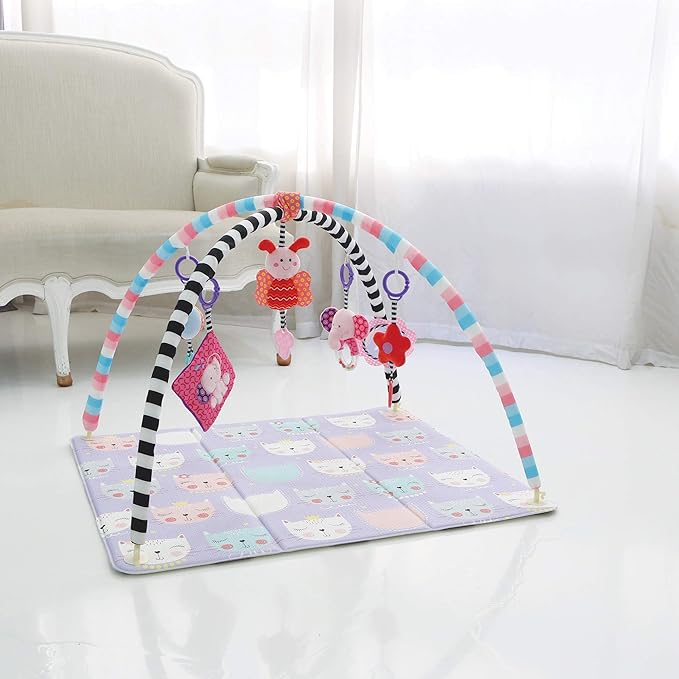 Baby Care Activity Gym Mat (Kitty)