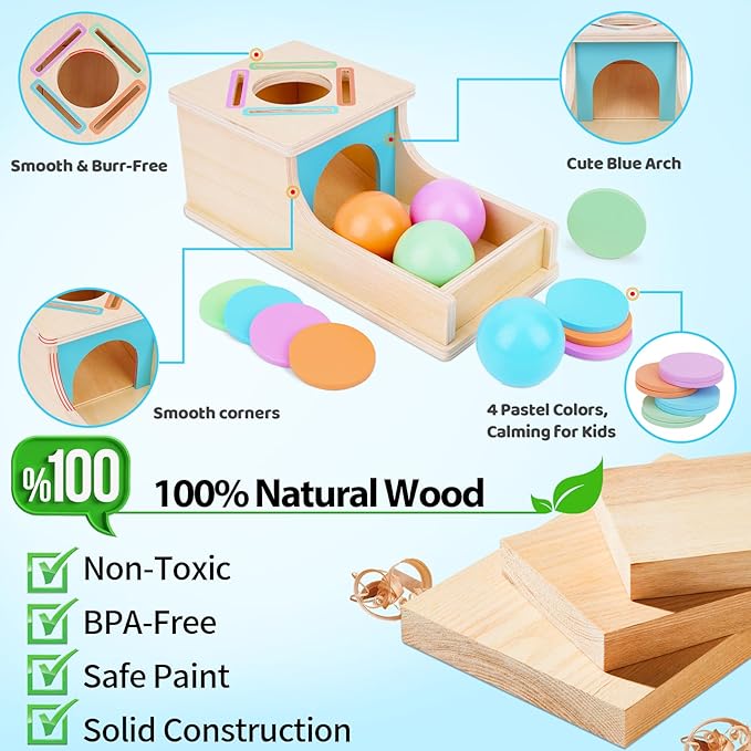 FCSONU Toddlers Montessori Coin Box Toys for 1 2 3 Year Old Boys Girls, Object Permanence Box Ball Drop Toy, Learning Sorting Sensory Toys for Ages 2-3 Kids, 1st Birthday Gifts for Baby 12-18 Months