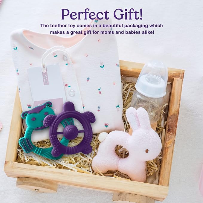 Baby Teething Toys for Newborn, Infants 0-6 Months Silicone Teethers for Babies 6-12 Months BPA Free (Bee - Purple & Turquoise)