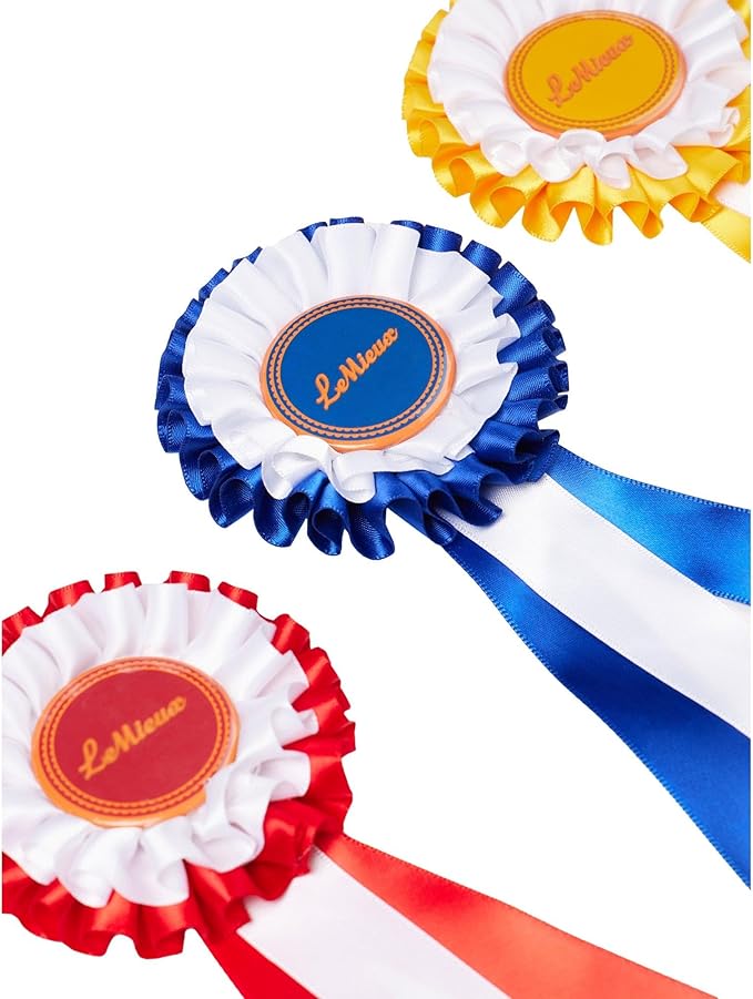 LeMieux Hobby Horse Rosette Pack - Set of Three Satin Winner Rosettes - Congratulate Your Hobby Horse - Suitable for Ages 3+
