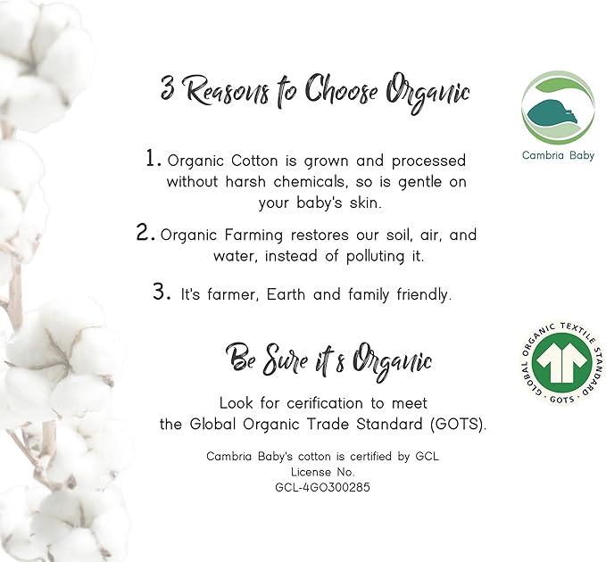 100% Organic Cotton Fitted Travel Crib Sheets, Perfectly Compatible with Guava Lotus, BabyBjorn, Dream On Me and All mattresses 22-26" Wide by 40-44" Long. Strap Holes in Corners. 2 Pk