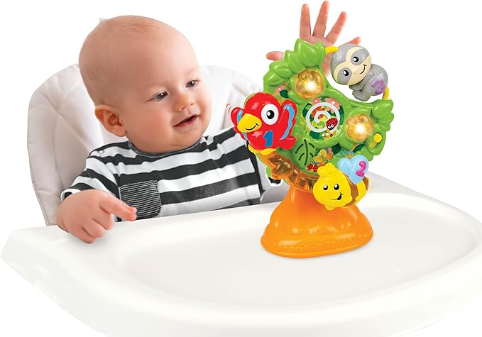 winfun 000769 Baby Toy, Multicolour