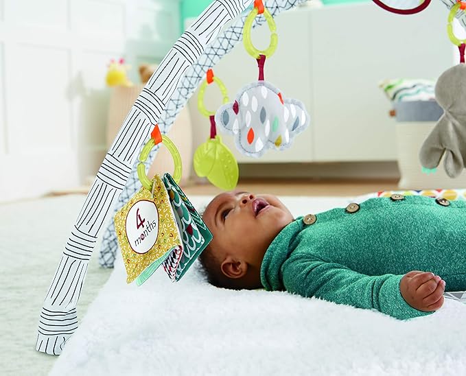 Fisher-Price Perfect Sense Deluxe Gym, Plush Infant Play Mat with Toys (Standard Packaging)
