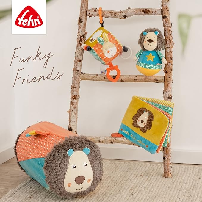 Fehn Activity Cube