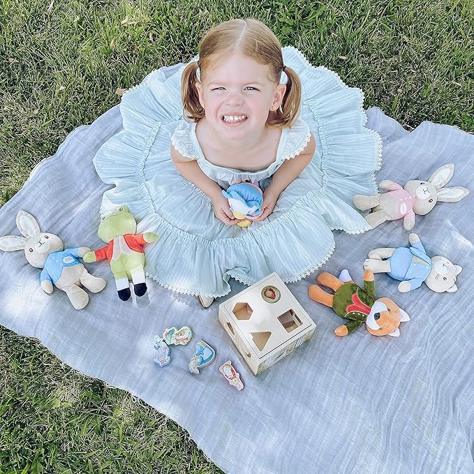 KIDS PREFERRED Beatrix Potter Peter Rabbit Wooden Shape Sorter for Toddlers, Includes 8 Pieces, Multicolor