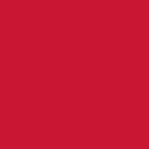 SheetWorld Fitted Youth Bed Sheet 33 x 66, 100% Cotton Jersey Solid Red, Made in USA