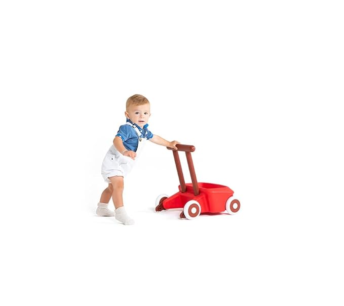 Italtrike Roberto Baby Walker, Push & Pull Baby Toy, Learning to Walk, Toddlers, Safety Brake, Storage Compartment, Speed Control, Indoors & Outdoors Use - Ages 10 Months + - Made in Italy