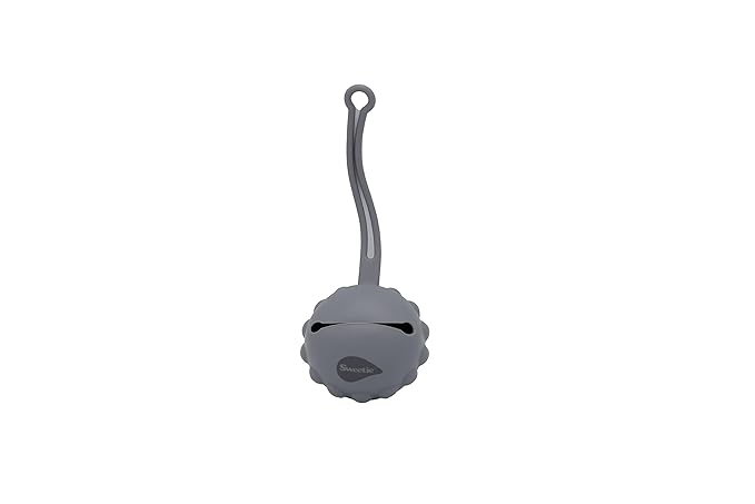 Sweetie Silicone Pacifier Holder Case, Pacifier Container Fits Pacifiers & Pacifier Clip, Portable for Travel Outdoor Activities, Sun Flower, Lion Shape, 1 Piece (Grey)