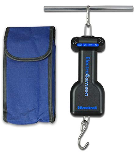 Hand Held Electronic Baby Scale, Capacity: 45kg x 0.05kg/99lb x 0.1lb/2oz by Brecknell