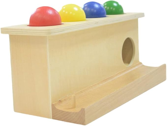 Montessori Toddlers Wooden Push Ball Toys Baby Preschoolers Toys Push Toys Multicolored