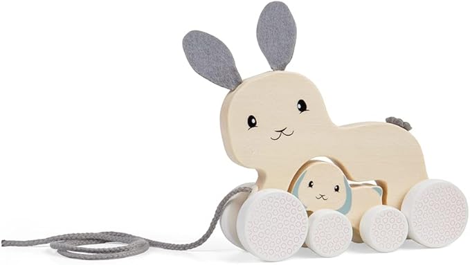Bigjigs Toys FSC® Certified Bunny & Baby Pull Along Toy - Eco-Friendly Rabbit Pull Along with Cord & Baby Bunny Push-Along, Quality Pull Along Toys for 1 Year Olds, Wooden Baby Toys