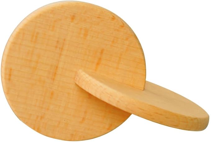 Interlocking Discs Montessori Wooden Materials for Baby