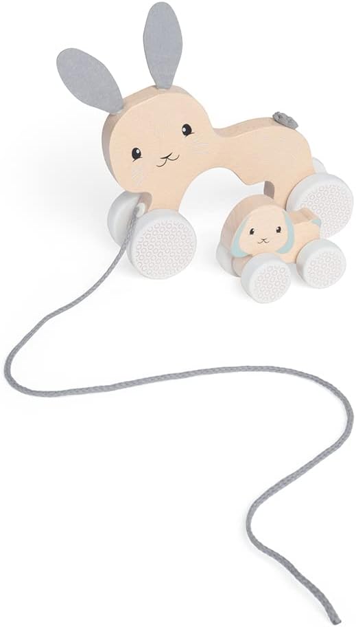 Bigjigs Toys FSC® Certified Bunny & Baby Pull Along Toy - Eco-Friendly Rabbit Pull Along with Cord & Baby Bunny Push-Along, Quality Pull Along Toys for 1 Year Olds, Wooden Baby Toys