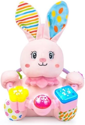Holaxander Baby Boy Gift Set for 0-12+ Months (1 * Baby Dino Musical Toy & 1 * Musical Plush Rabbit Toy)
