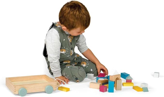 Bigjigs Toys FSC® Certified Brick Pull Along Cart - Wooden Pull Along Wagon with Baby Blocks for 18 Months +, Sustainable Pull Along Toy & Wooden Baby Walker, Educational Shape Game
