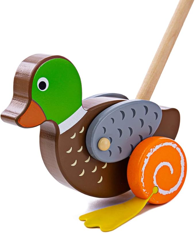 Bigjigs Toys N/A Push & Pull Toys