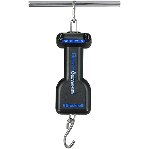Hand Held Electronic Baby Scale, Capacity: 45kg x 0.05kg/99lb x 0.1lb/2oz by Brecknell