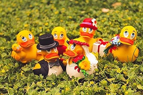 Doctor Physician Rubber Duck Bath Toy | All Natural, Organic, Eco Friendly, Squeaker | Collectable | Imported from Barcelona, Spain