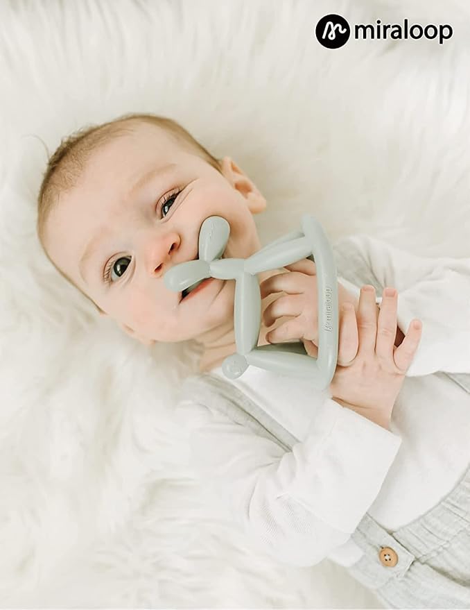 Baby Teething Toys, Food Grade Baby Teether Toys for Babies 3 6 12 18 Months, Jellydog Silicone Teethers Toddlers Chew Toys BPA Free Baby Gift (Mint Green)