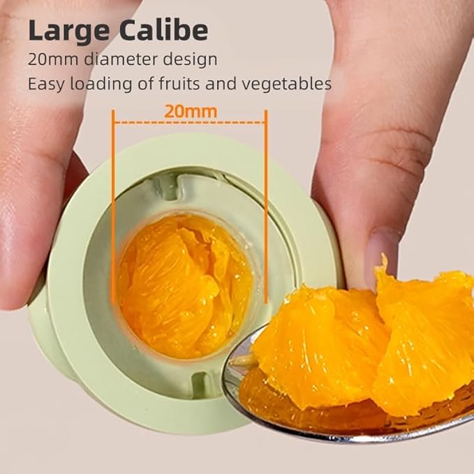 Baby Fruit Feeder Set – BPA-Free Silicone Fresh Food Feeder with 3 Replacement Teats, Teething Feeder for Fruits & Purees, Safe Self-Feeding for Babies 4+ Months