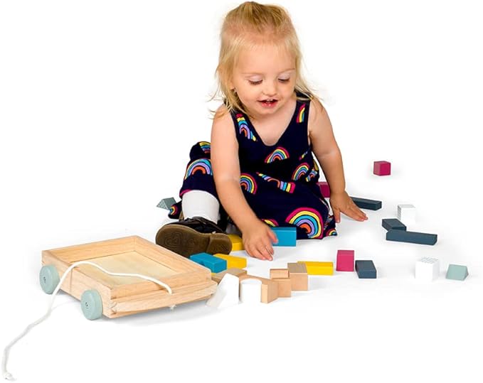 Bigjigs Toys FSC® Certified Brick Pull Along Cart - Wooden Pull Along Wagon with Baby Blocks for 18 Months +, Sustainable Pull Along Toy & Wooden Baby Walker, Educational Shape Game
