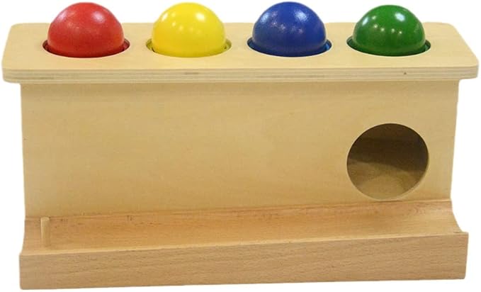 Montessori Toddlers Wooden Push Ball Toys Baby Preschoolers Toys Push Toys Multicolored