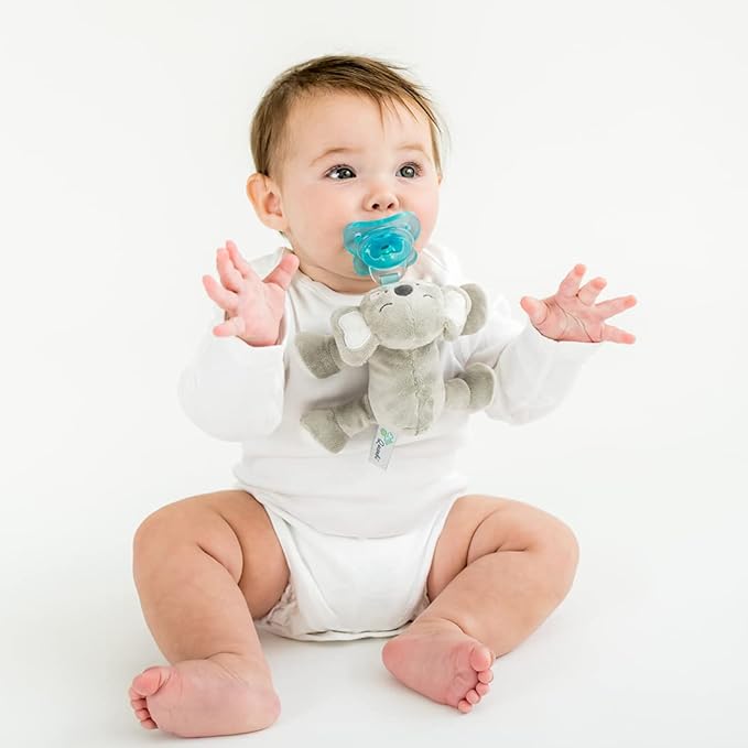 PaciBuddy Koala Pacifier Holder - Plush Toy with Detachable Pacifier & Universal Adapter, Gender Neutral Baby Gift for 0+ Months - Infant Plush Baby Toy, Versatile Baby Essentials, Binky