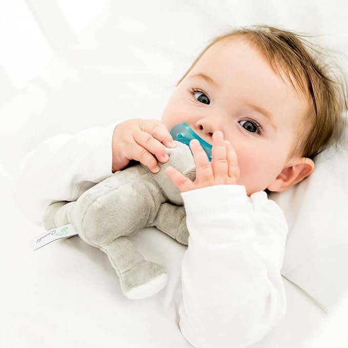 PaciBuddy Koala Pacifier Holder - Plush Toy with Detachable Pacifier & Universal Adapter, Gender Neutral Baby Gift for 0+ Months - Infant Plush Baby Toy, Versatile Baby Essentials, Binky