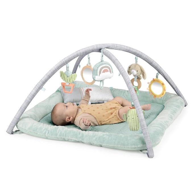 Ingenuity Calm Springs Plush Activity Gym for Baby, Ultra-Soft Premium Mat, Toys