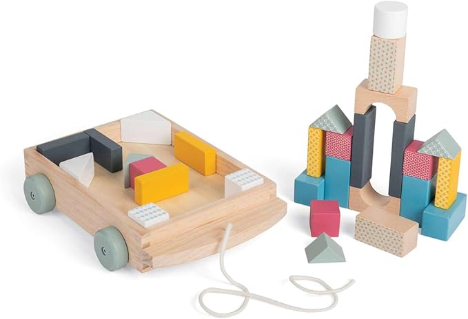 Bigjigs Toys FSC® Certified Brick Pull Along Cart - Wooden Pull Along Wagon with Baby Blocks for 18 Months +, Sustainable Pull Along Toy & Wooden Baby Walker, Educational Shape Game
