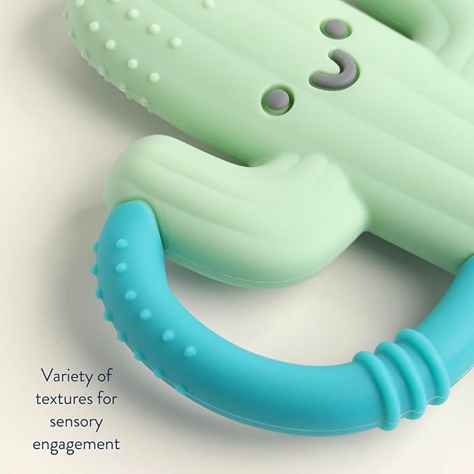 Itzy Ritzy Cactus-Shaped Baby Teether with Handles – Silicone Teether for Babies with Easy-Grab Handles and Textured, Teethable Surfaces - Baby Teething Toy for 3 Months & Up (Cactus)