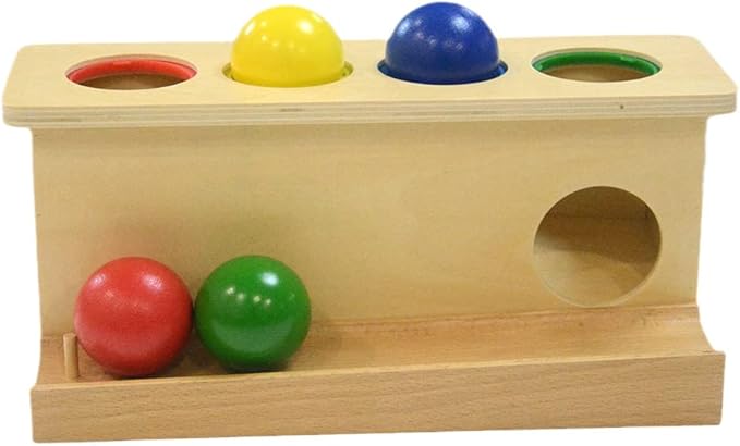 Montessori Toddlers Wooden Push Ball Toys Baby Preschoolers Toys Push Toys Multicolored
