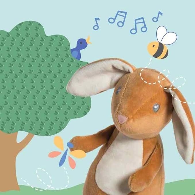 Mary Meyer Leika Baby Board Book, 6 x 6-Inches, Little Bunny