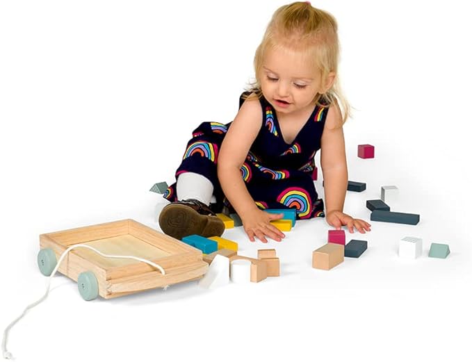 Bigjigs Toys FSC® Certified Brick Pull Along Cart - Wooden Pull Along Wagon with Baby Blocks for 18 Months +, Sustainable Pull Along Toy & Wooden Baby Walker, Educational Shape Game