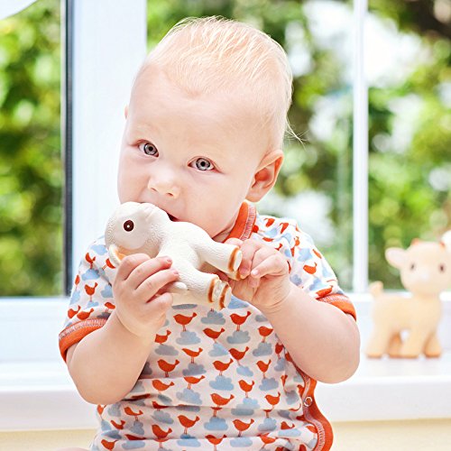 CaaOcho Pure Natural Rubber Teething Baby Toy - Mia the Lamb Teether for Babies, BPA Free Baby Toy, All Natural Teething Toys for Babies 0-6, Safe and Fun Molar Teether Toy