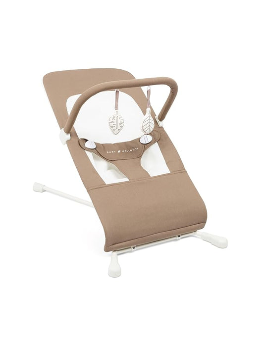 Baby Delight Highland Organic Baby Bouncer | Infant | 0 – 6 Months | 3-Position Recline | Organic Mocha