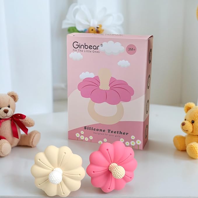 Ginbear Silicone Baby Teether for Girls, BPA Free Food Grade Infant Teething Toys, Soothing Baby Chew Toys, Sensory Teething Pain Relief Pacifier 3 Months + (Set of 2)