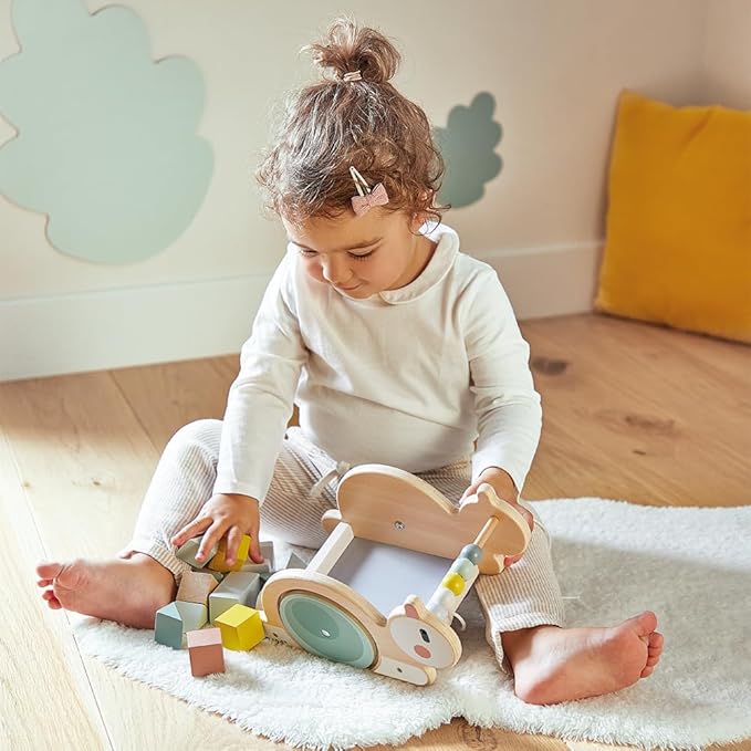 Janod Sweet Cocoon - Wooden Pull-Along Snail Cube Trolley - 17 Piece Set - Ages 18 Months - 3 Years - J03354