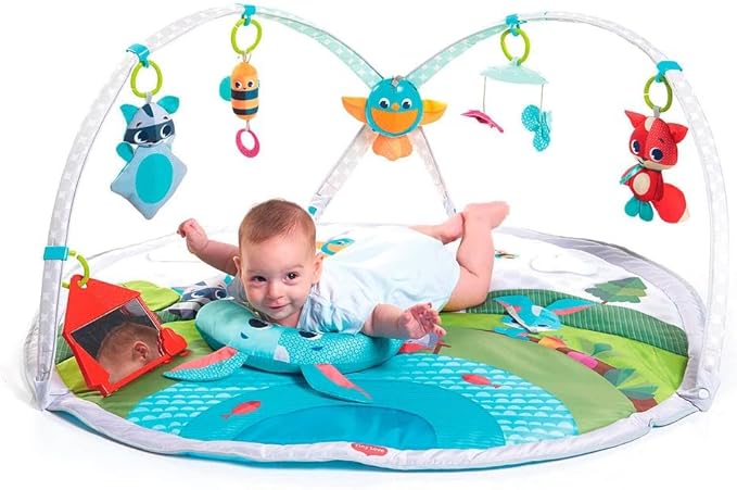 Meadow Days - Dynamic Gymini
