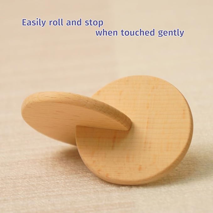 Interlocking Discs Montessori Wooden Materials for Baby